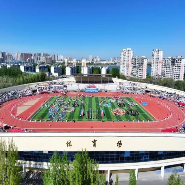 足球杯赛焦点对决，第278组阵容窥探全景